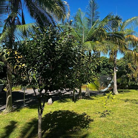 L'Escapade Creole Jacuzzi Privatif Bungalow Ananas سانت-جوزيف المظهر الخارجي الصورة